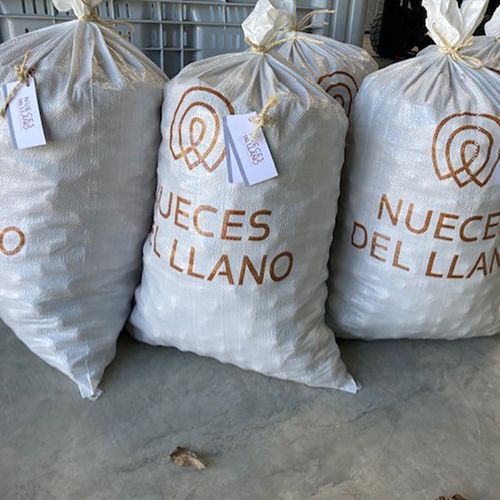 nueces y frutos secos